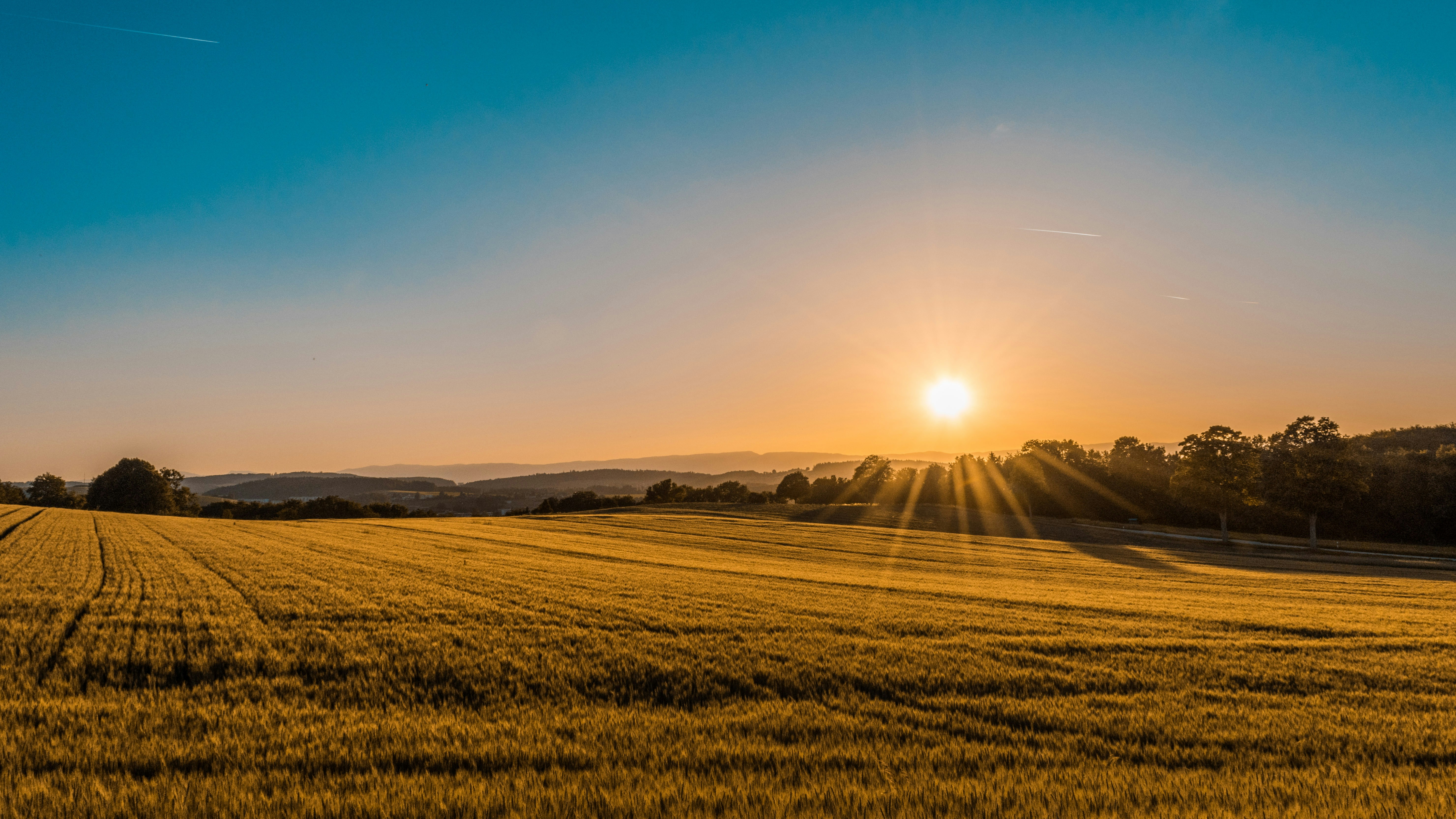 Agriculture & Science